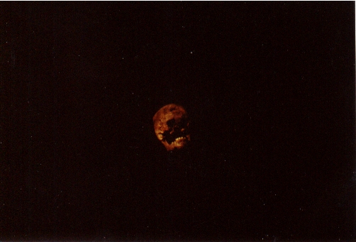 schaedel